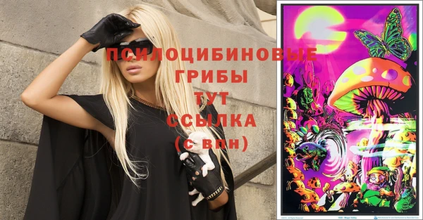 крисы Алексеевка
