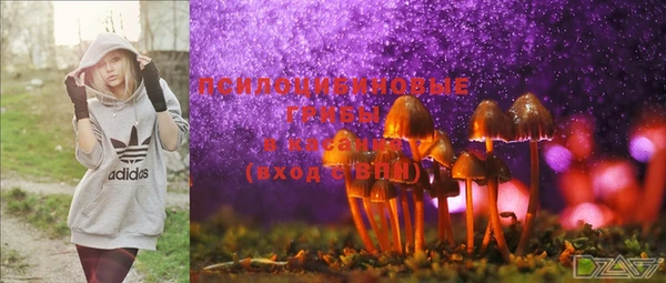 spice Алзамай