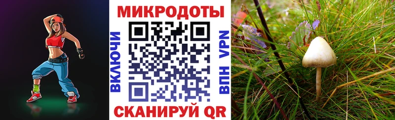 хочу наркоту  MEGA tor  Псилоцибиновые грибы мухоморы  Луза 